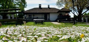 278995925_4742861079155612_4821003623264319230_n-1078x516