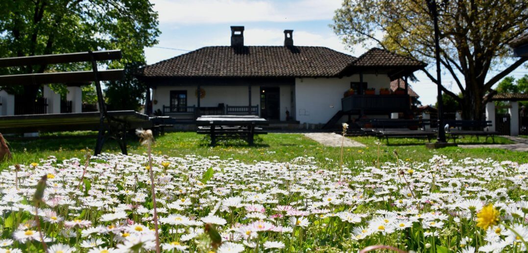 278995925_4742861079155612_4821003623264319230_n-1078x516