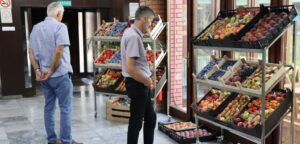 296431623_5106504759447829_2484889907864449574_n-1078x516