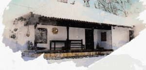 319744897_530737789093855_5392630969542585533_n-702x336