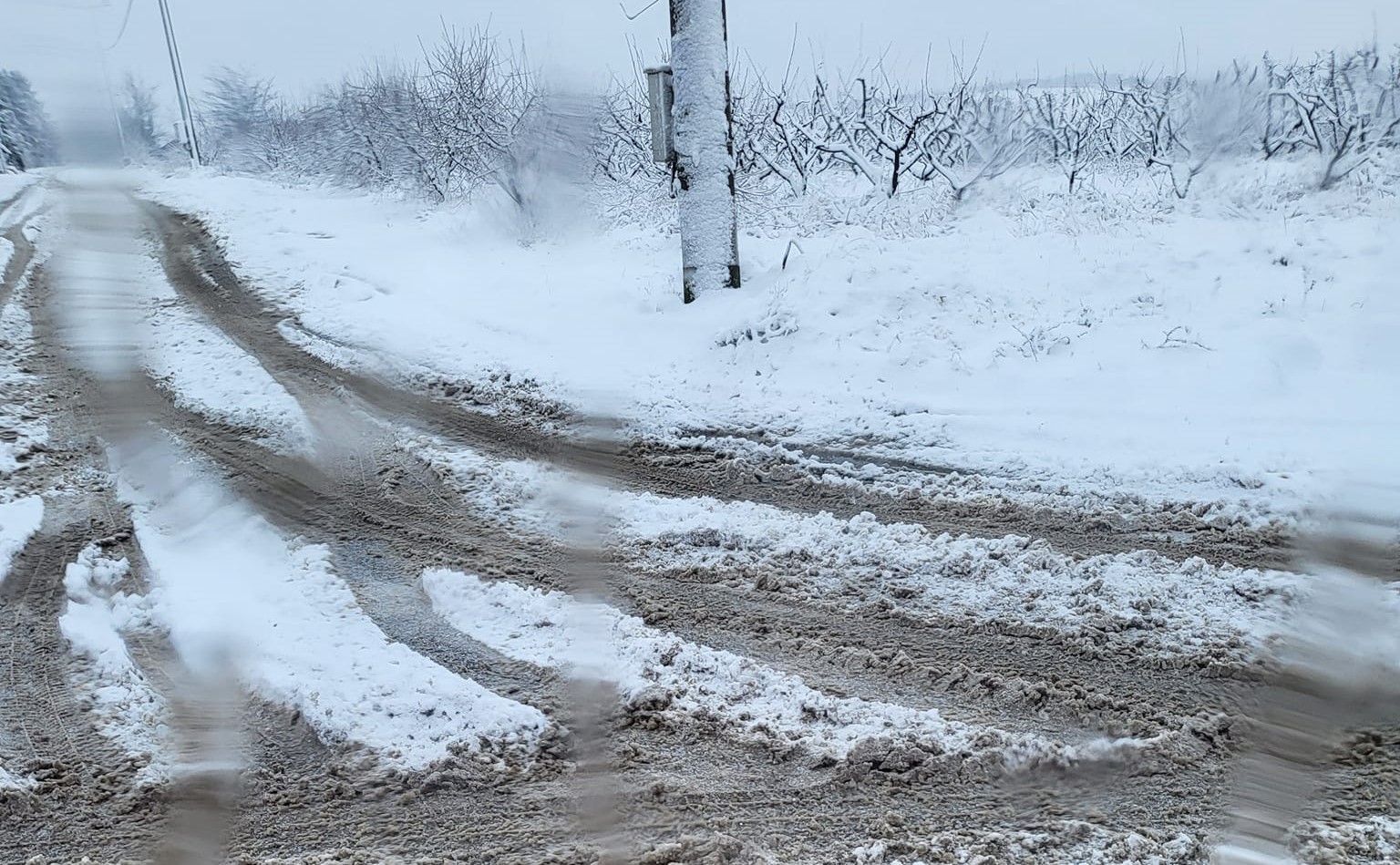 325410466_1535669490253233_2276071654362582998_n