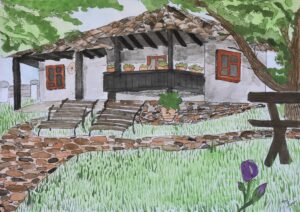 339419444_606619411067812_651632423645016702_n