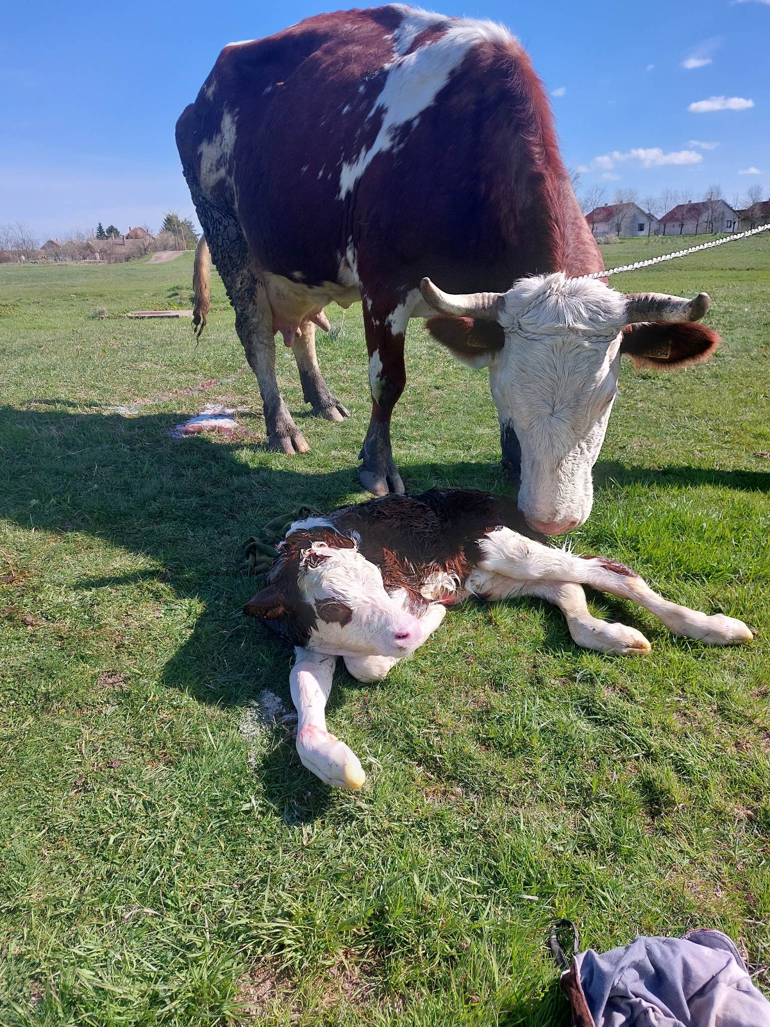 342147223_760970495614088_1611517260064953127_n