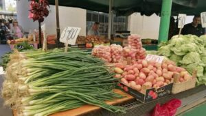 342603_img-20230421-121707_f