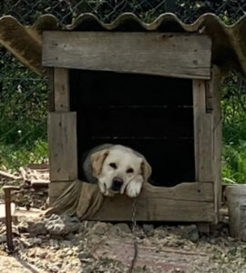 344547668_3563980843821871_5729112677736390434_n