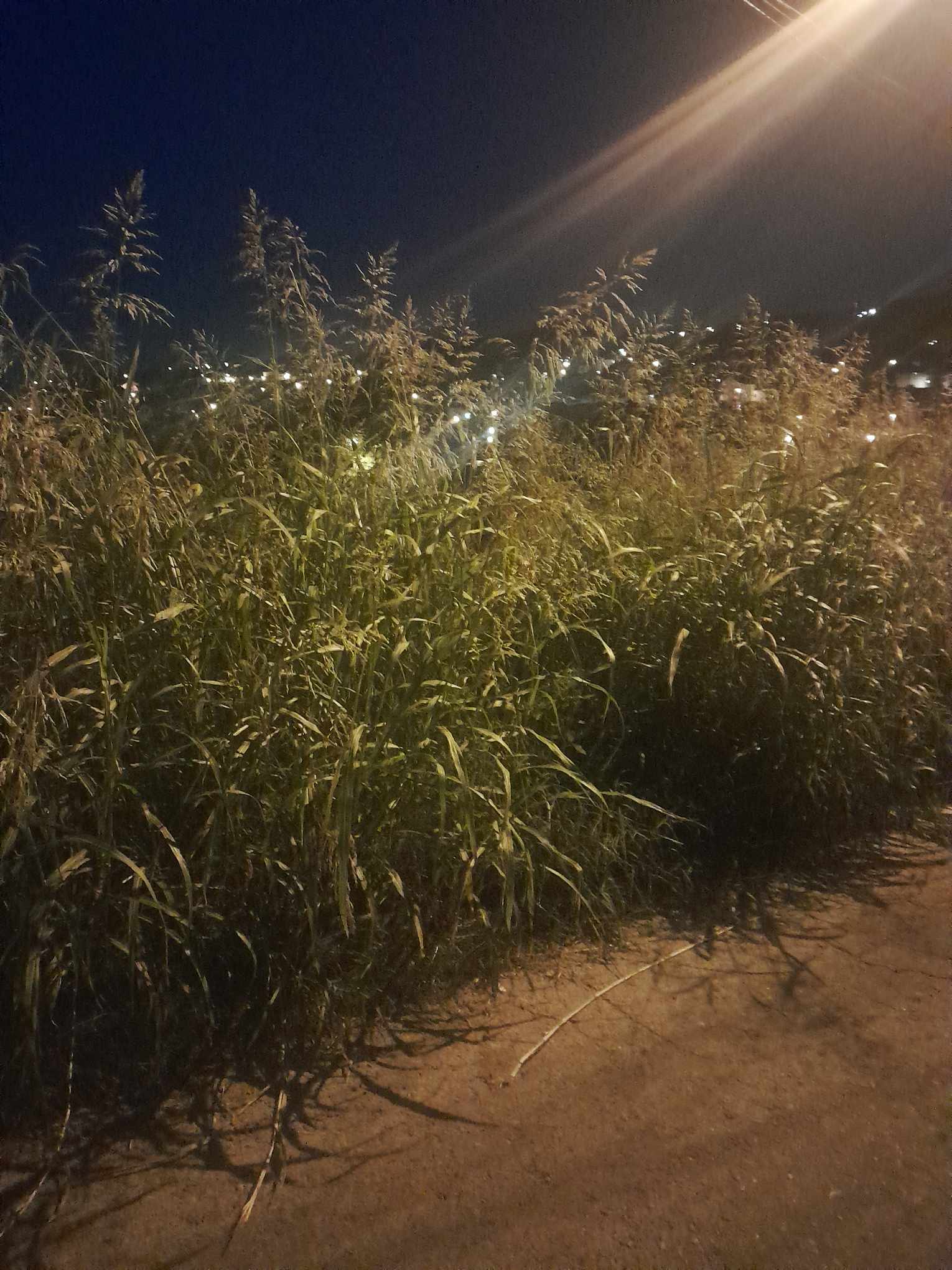 450443042_403817379362986_8548050245761661280_n