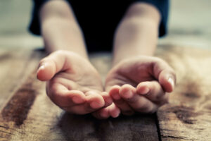 5262853_shutterstock-445426657_ff