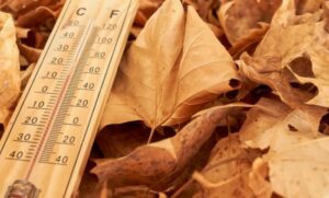 55415883cf6de5b6e144cae57a979e3456c7e0d4