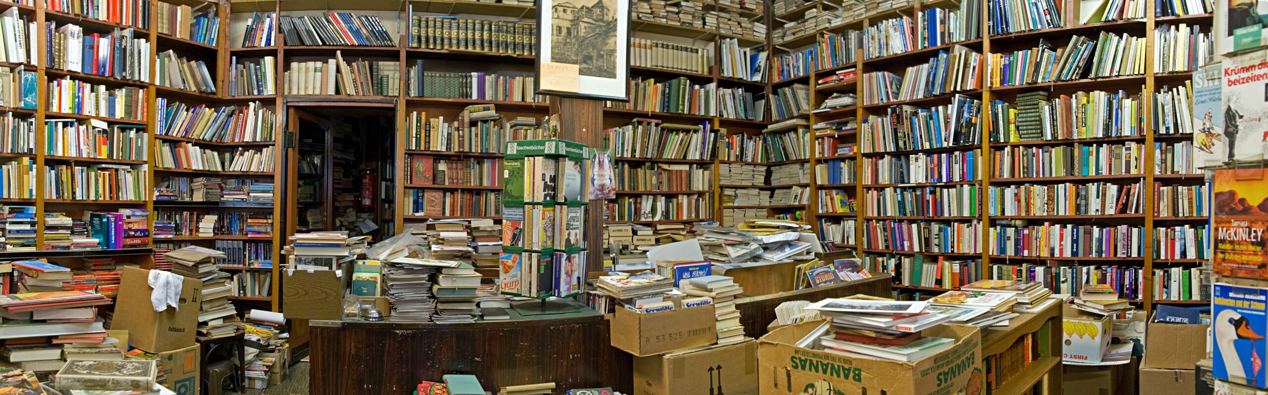 56120193-294830961414243-9075139310876884992-n