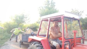 67731035-212479743024442-6728246370047623168-n