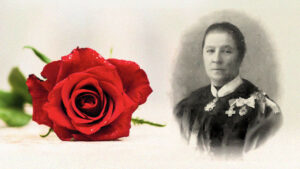 677z381_ruza-za-prvu