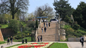 677z381_vv-6437a04bbfb5f