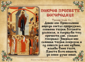 72181420-520664235160853-423745519282552832-n