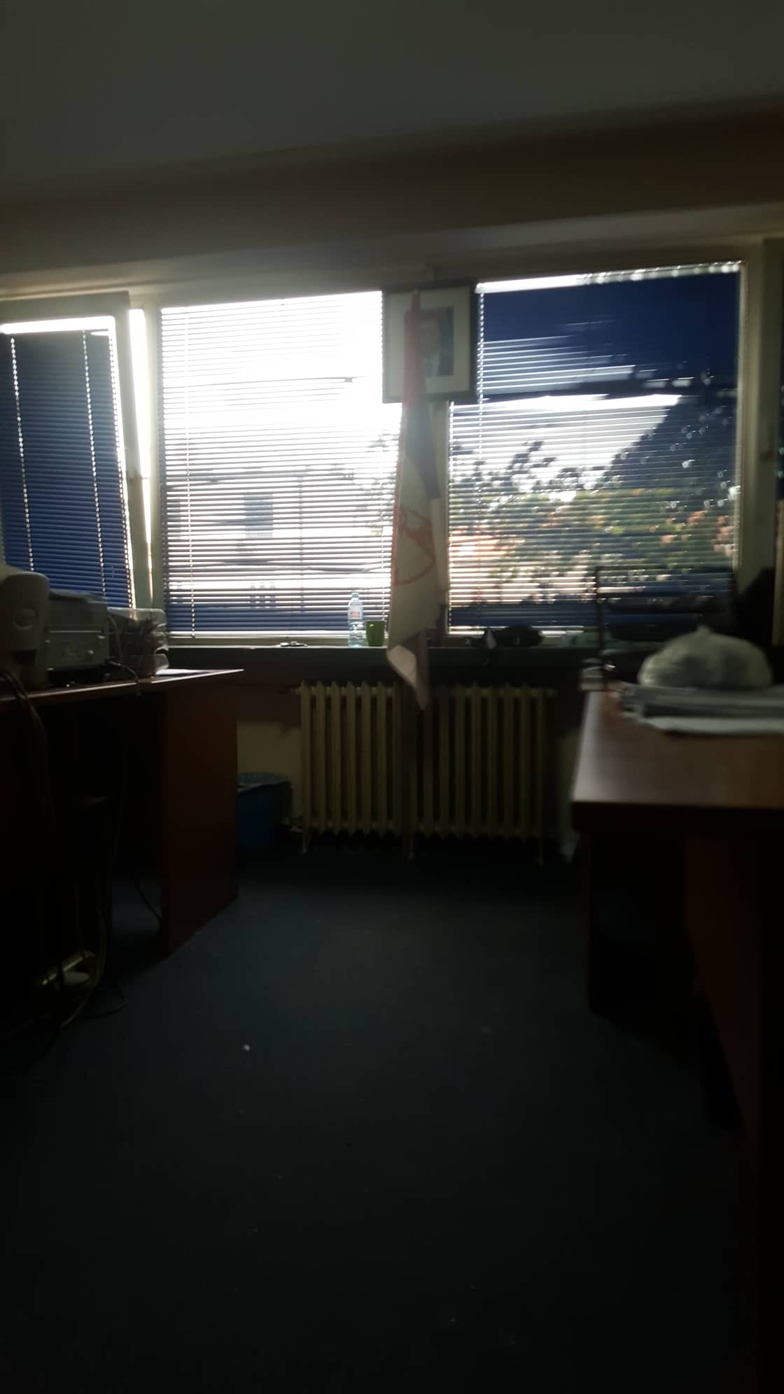 74156706-578341012934619-7412777102337900544-n