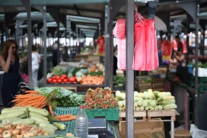 asTk9kpTURBXy80NzhkMDMwMzA2MGM1N2M4YTcxNmEzYWQzMDkzNTM2Ni5qcGeRkwLNAxYA3gABoTAF