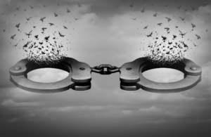 Bez-naslova-1000-×-650-piks.-8-q7k3gm4dtci22iairqfvyrxj8vzr0jwqesaj7s2yjo