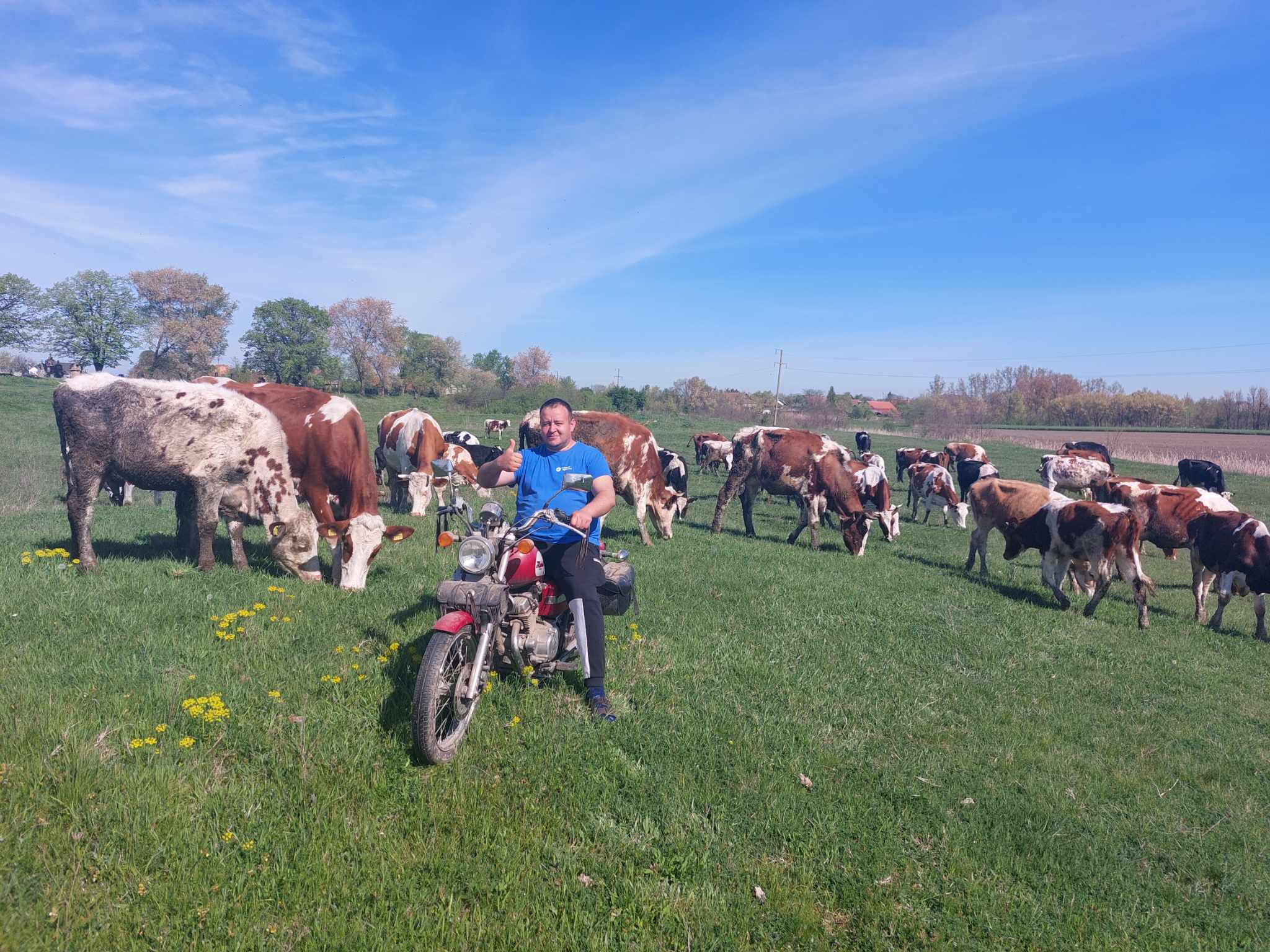 cb6c4647-17af-4f93-b62a-37bf19a79f65