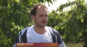 dusan-jevtic-pudarci