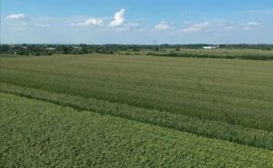 FB_IMG_1711906291562