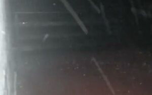 фдсаГФСНБХДА