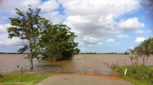 flooded-491245_1280-e1686494990705-1000x560