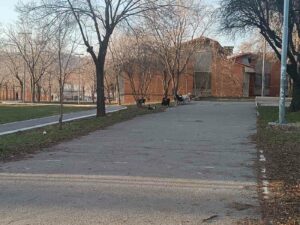 IMG-9e94403b42a240bcef646fb23f416b2c-V