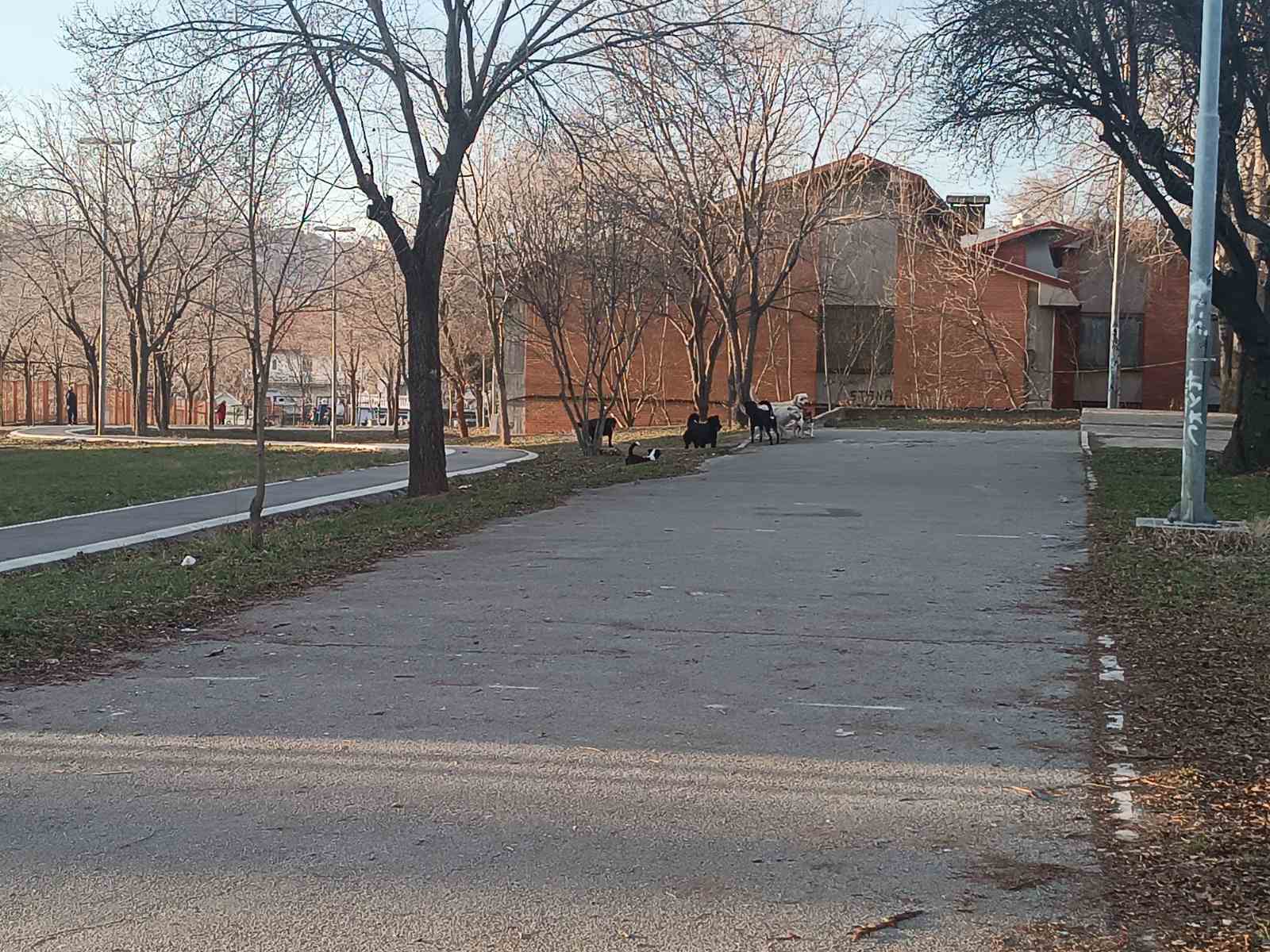 IMG-9e94403b42a240bcef646fb23f416b2c-V