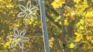 novogodisnja-rasveta-n1-233404