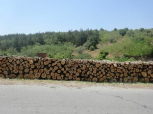 ogrevno-drvo-e1456493008332