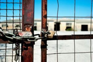 profimedia-0192969791-1024x681