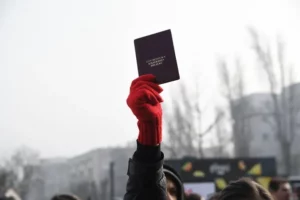 profimedia-0950880331-1