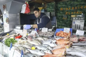 RjOk9kpTURBXy9iOGY1OWQ5MGZlNDQxM2FmY2I5MjRjNzI0M2Q4OTEzMC5qcGeRkwLNAxYA3gABoTAF