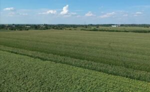 Screenshot_20230218_154228