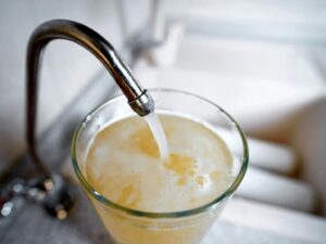 shutterstock_1088890043-1536x1152