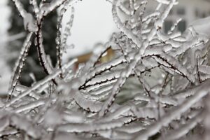 shutterstock_174623186-1200x800