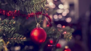 shutterstock_317033810-e1639667644665-1000x560