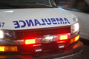 shutterstock_797477773-Louis.Roth_-1024x685