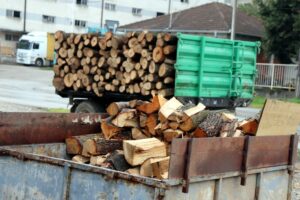 Tan2021-4-4_142217824_0-1024x683