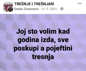 tresnje-i-rtresnjari-grocka