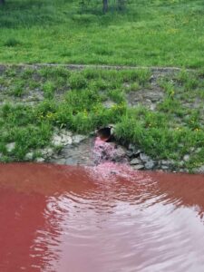 viber_image_2022-04-17_12-48-04-253