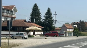 viber_image_2024-07-18_11-05-43-220-e1721294598345-1000x560