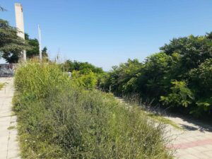 viber_slika_2023-07-03_21-06-48-705