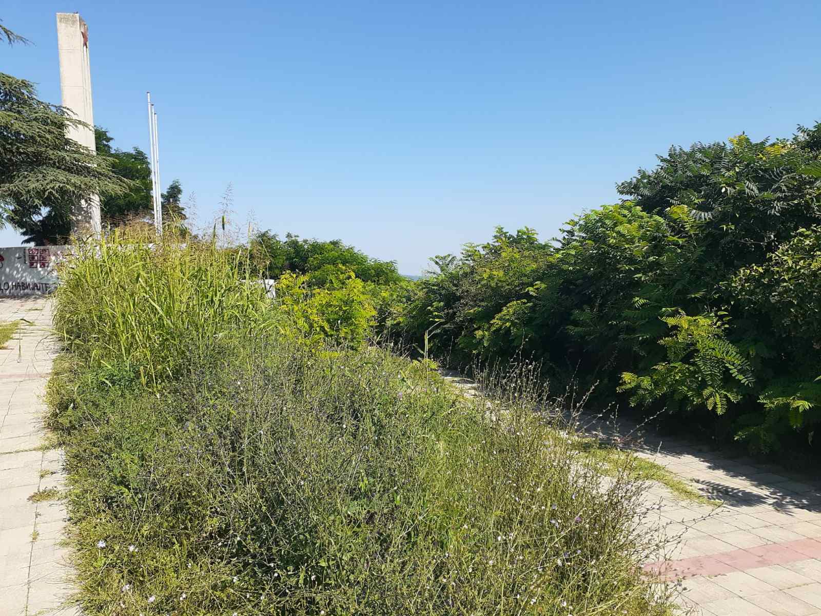 viber_slika_2023-07-03_21-06-48-705