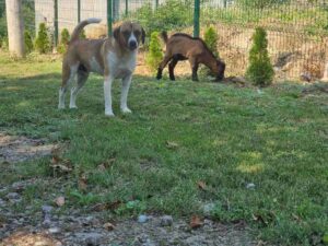 вибер_слика_2023-08-24_12-09-14-679