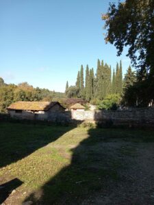 viber_slika_2023-12-02_13-49-44-456