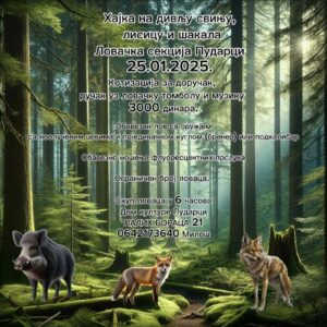 viber_slika_2025-01-10_21-16-35-254