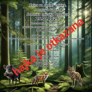 viber_slika_2025-01-20_20-18-24-736