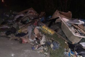 vrcin-avalska-smecee