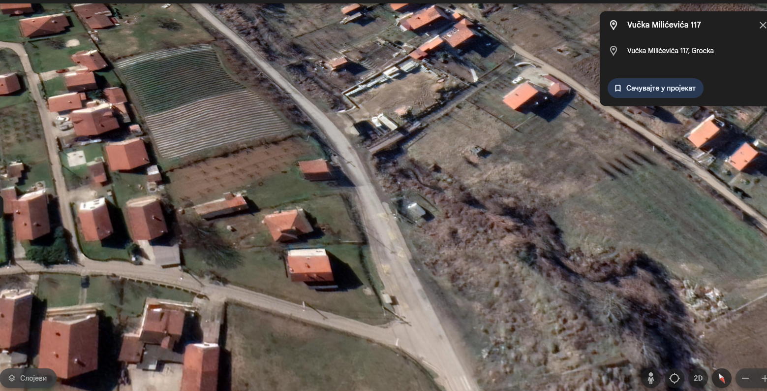 vucka-milicevica-117