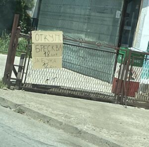 WhatsApp-Image-2024-07-17-at-4.46.38-PM